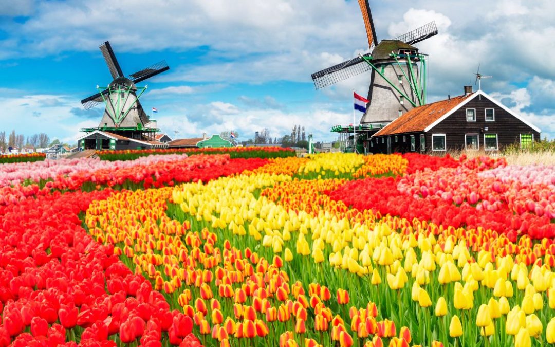 Nederlanders slapen goed