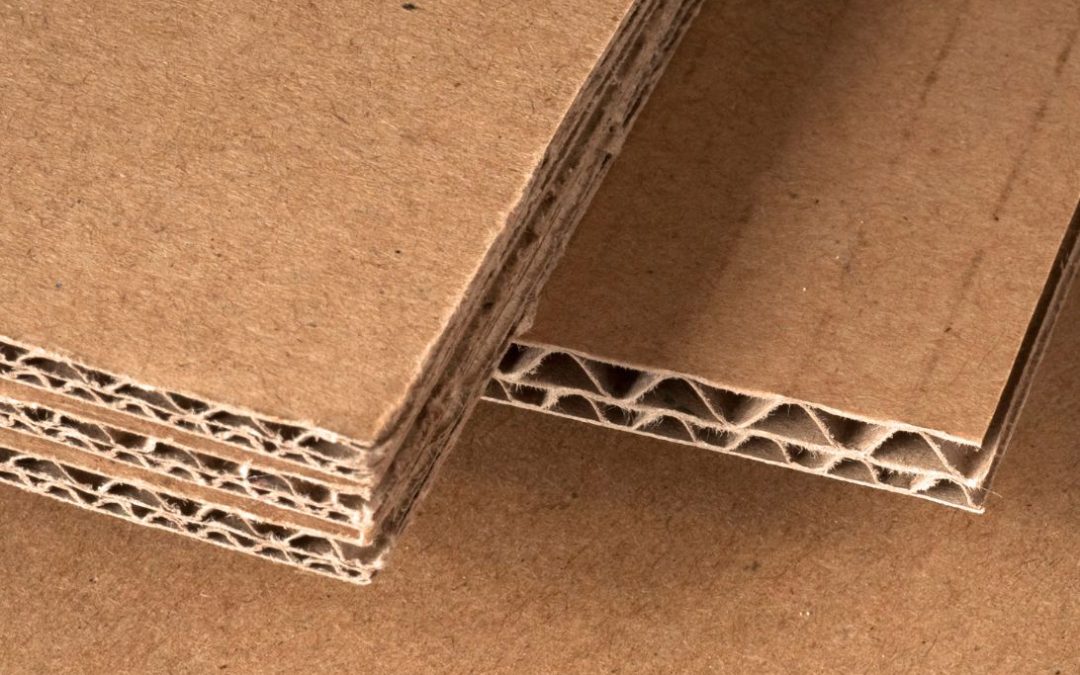 Is het Extendable Flatpack Paper Bed een goede keuze?