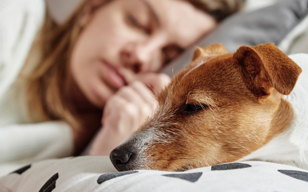 Goed slapen in de warme maanden: onze tips