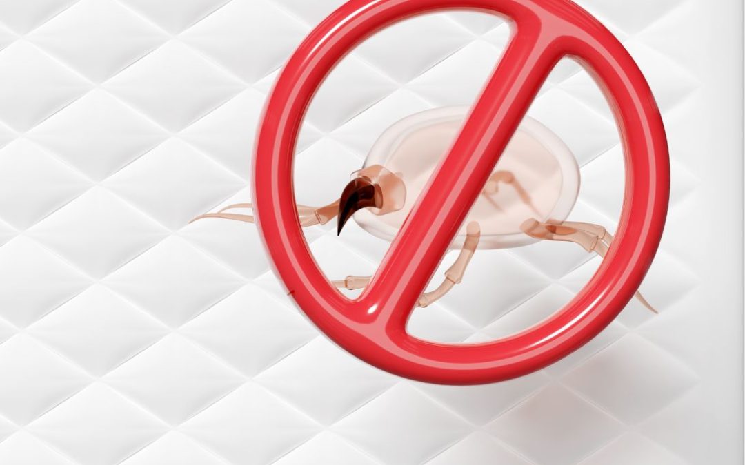 Verwarmd matras werkt tegen huisstofmijt