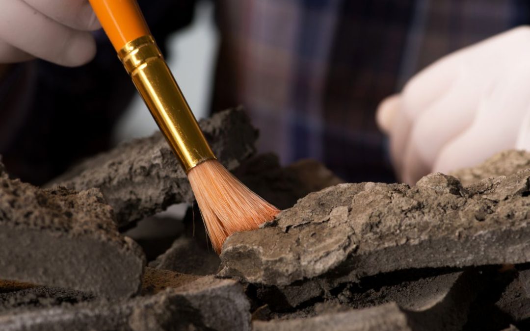 Het matras van Neanderthalers: comfort van 45.000 jaar geleden