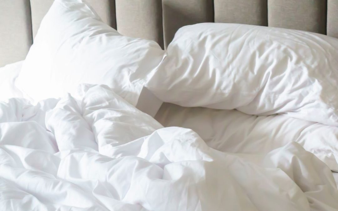 Review Bosch Bedding: assortiment en onze ervaring