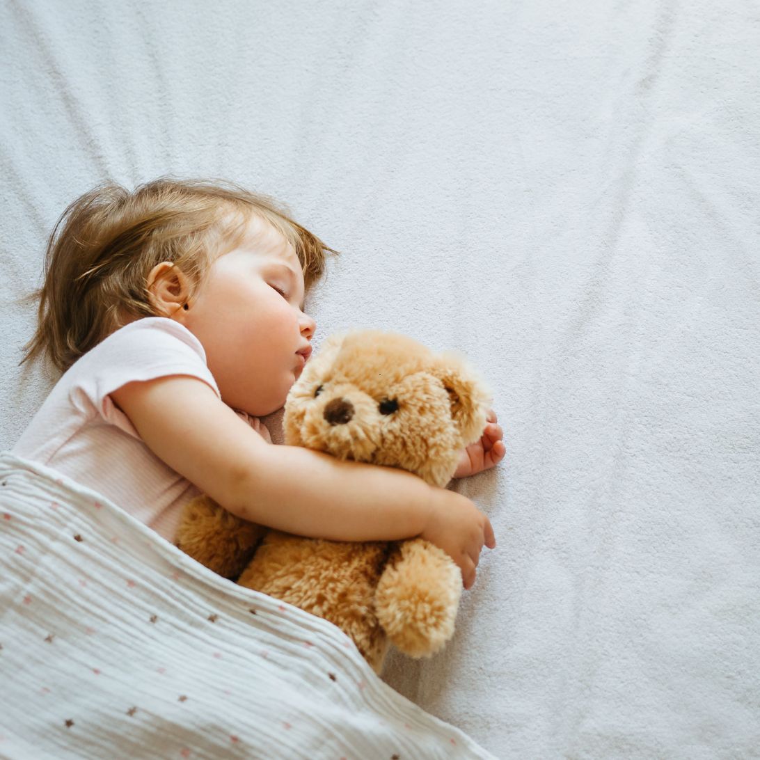 Peuter ligt met knuffel te slapen in peuterbed